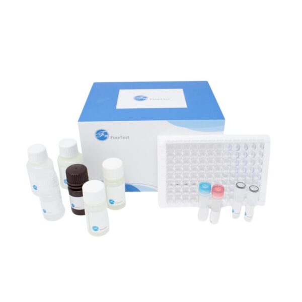 ABclonal - ELISA Kits