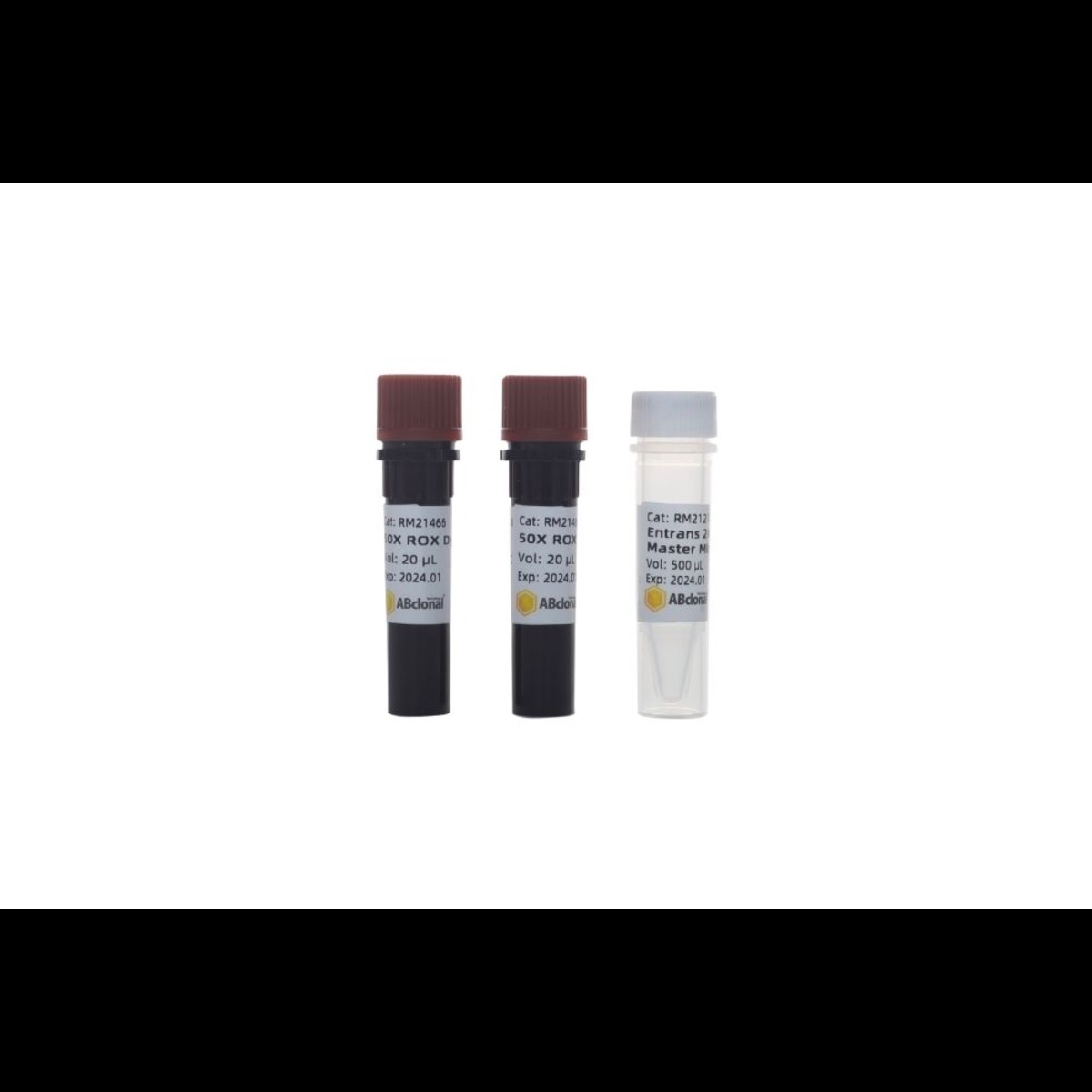 ABclonal - Molecular Biology Reagents - Image 3