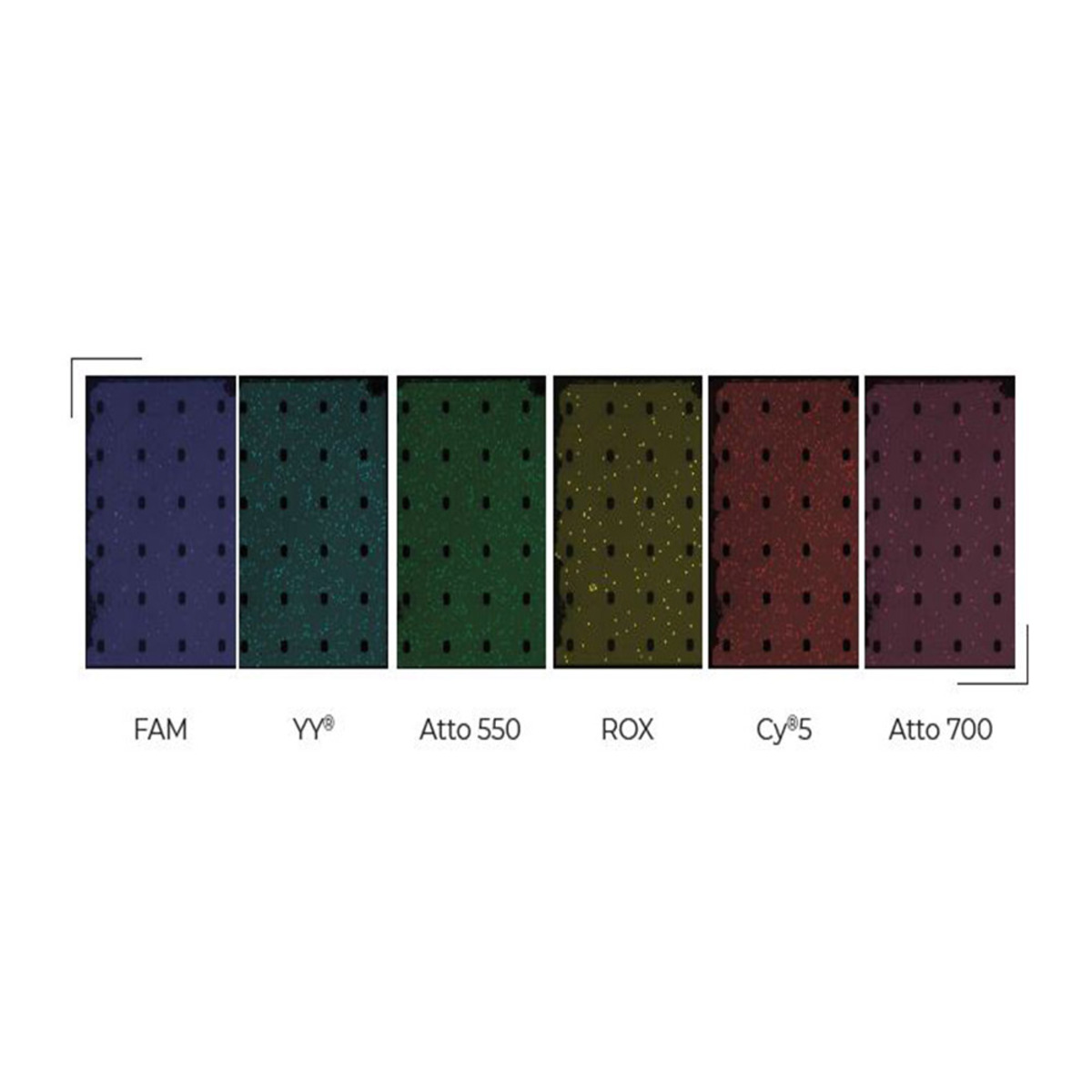 Stilla Technologies - Digital PCR - Naica 6 colors system - Image 2